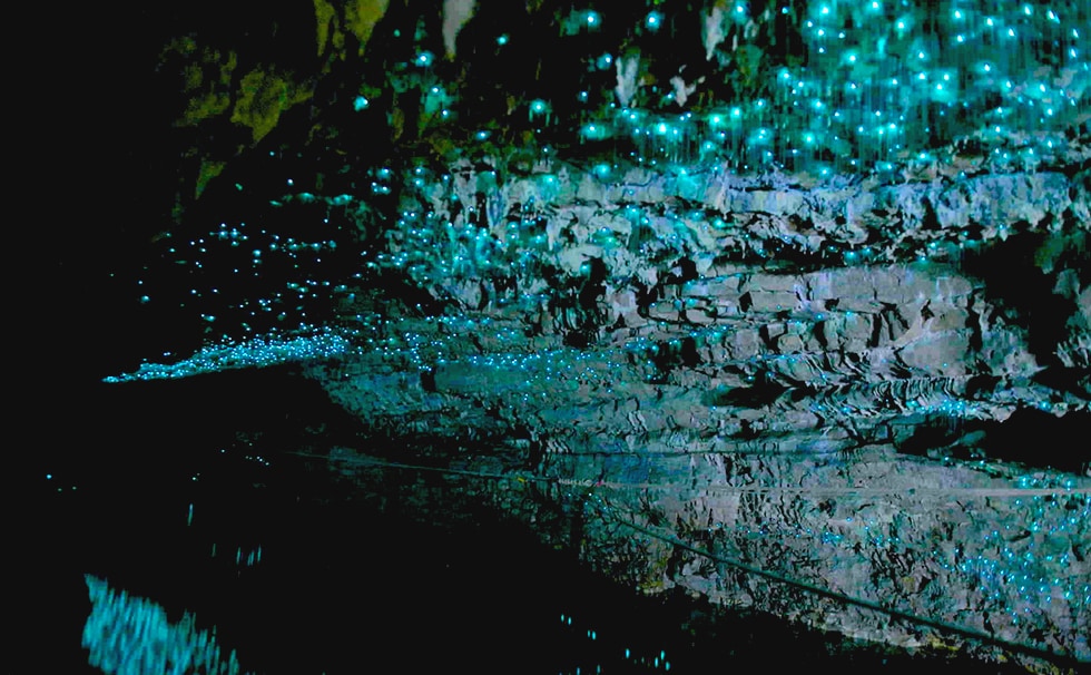 La grotte lumineuse en Nouvelle-Zélande