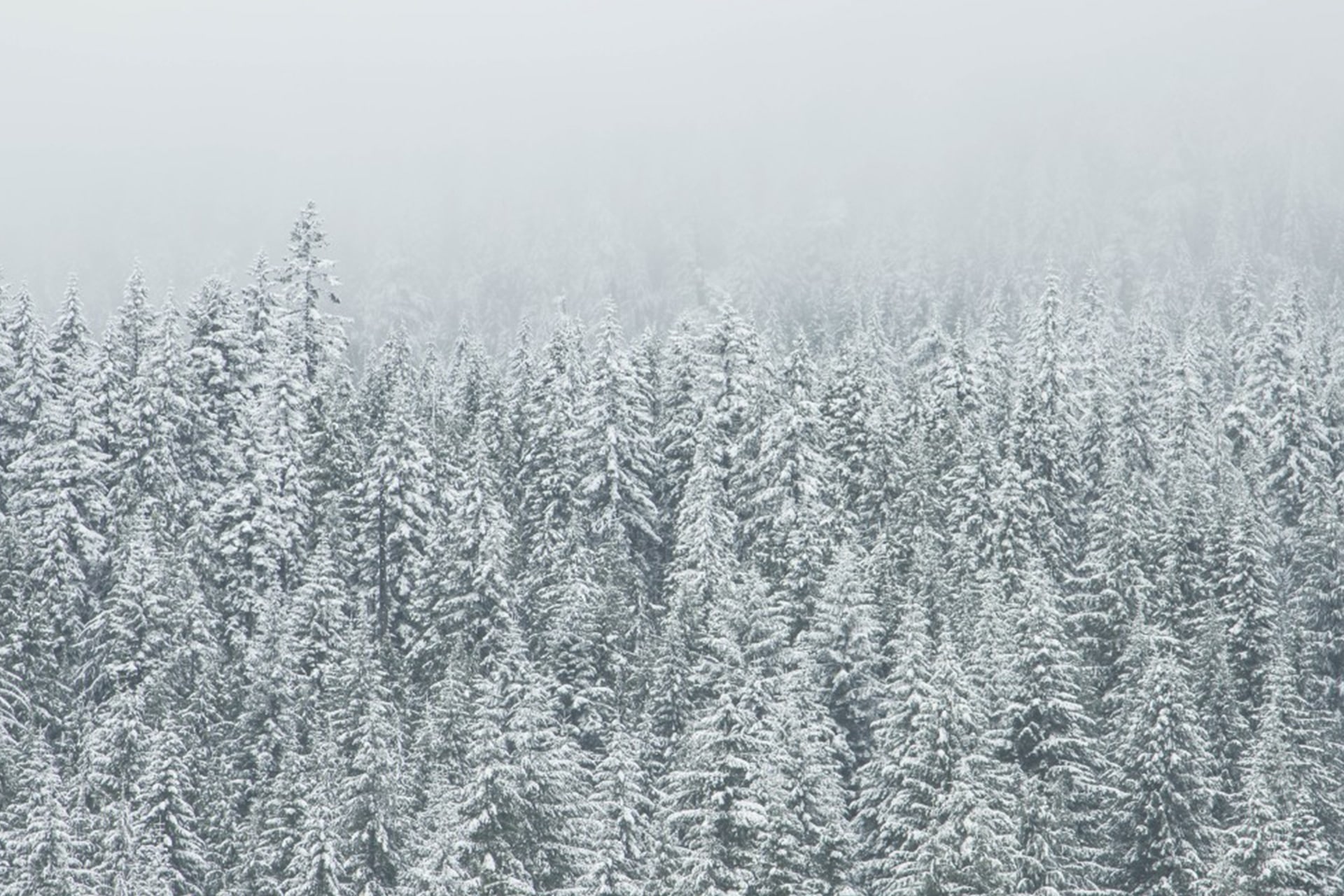 voyage-photo-moustachesenvadrouille-sabine-kley-bilan-2016-winter-is-coming