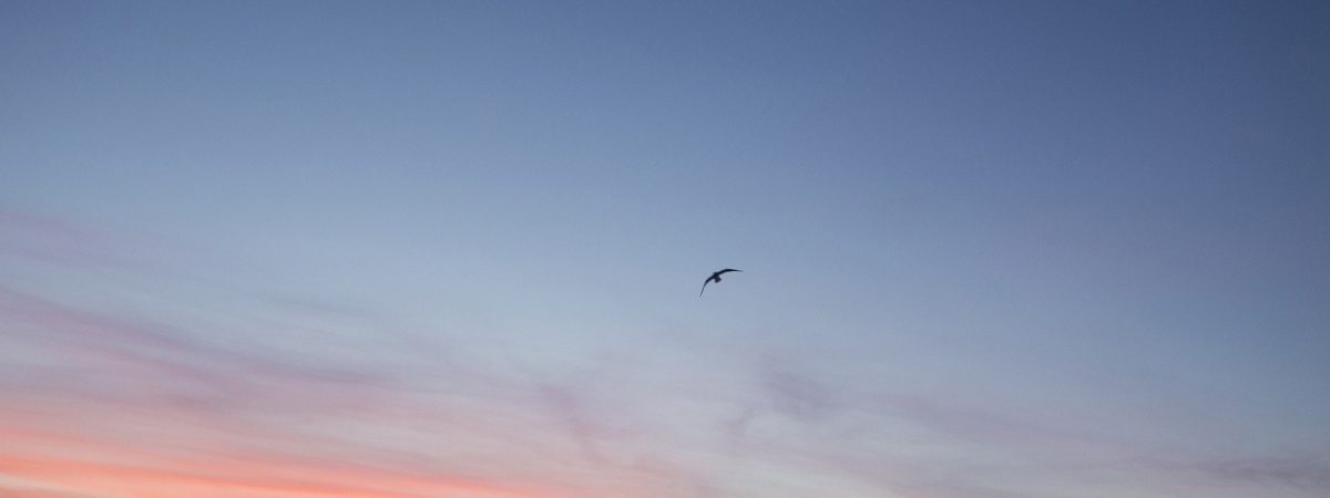 moustachesenvadrouille-sabinekley-voyage-france-saint-malo-wat17-promenade-coucher-de-soleil-ciel