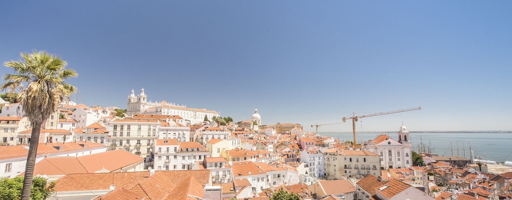 moustachesenvadrouille-sabinekley-voyage-portugal-lisbonne-alfama-vue-tage-palmier