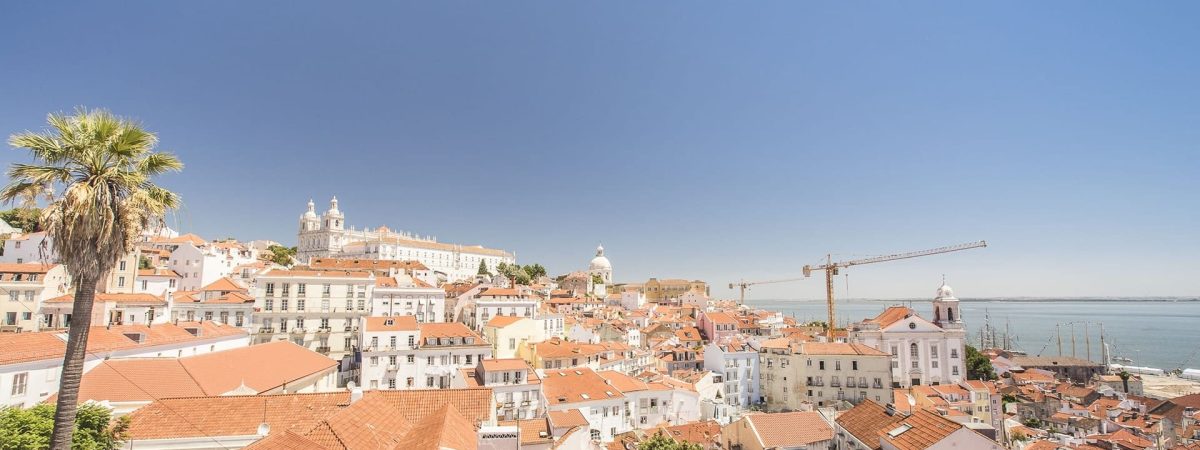 moustachesenvadrouille-sabinekley-voyage-portugal-lisbonne-alfama-vue-tage-palmier