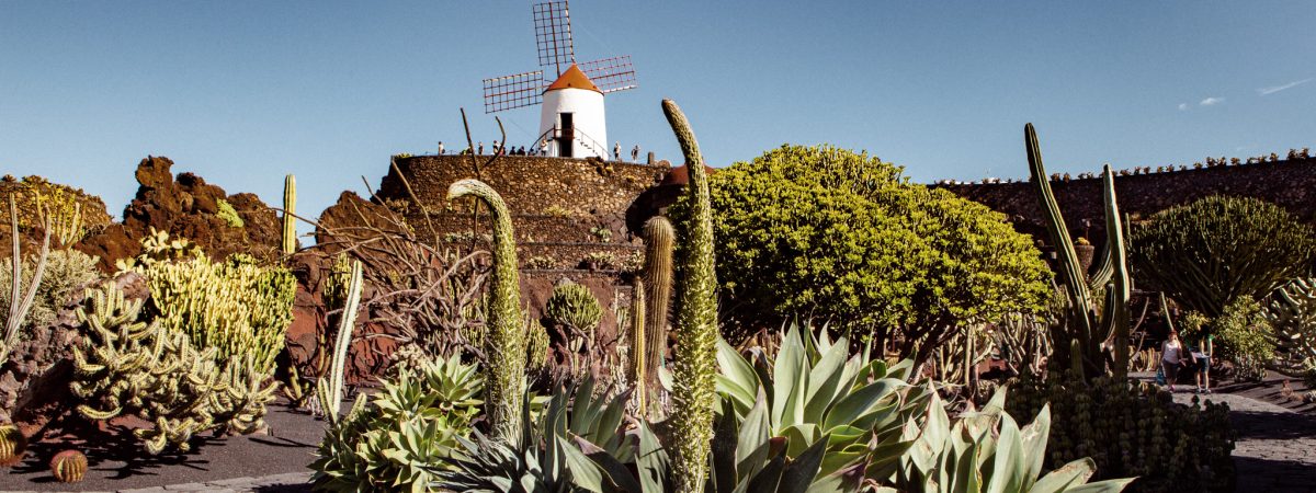 sabinekley-voyage-espagne-canaries-lanzarote-jardin-cactus-visiter