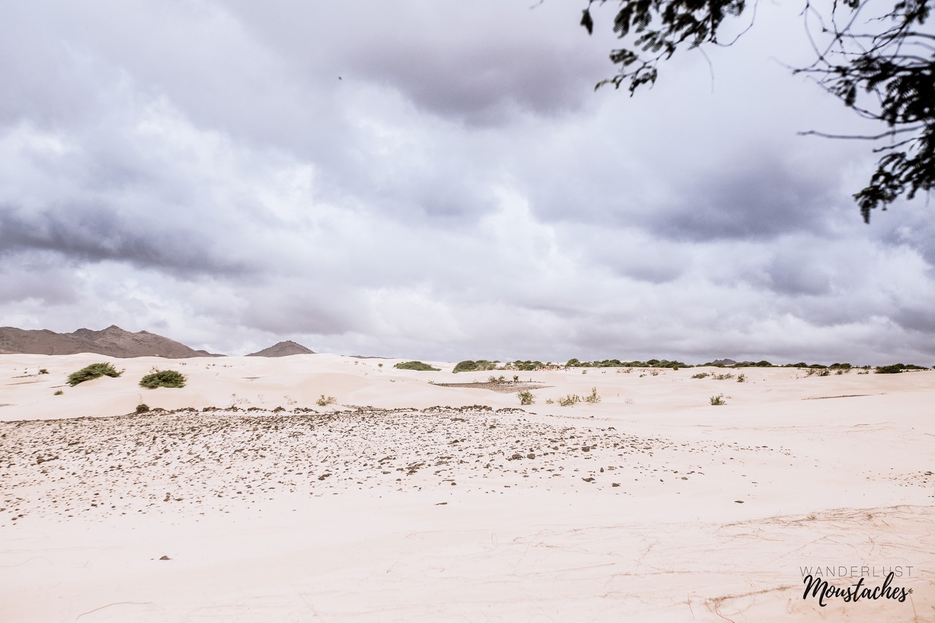 voyage-photo-moustachesenvadrouille-sabine-kley-cabo-verde-boavista-43