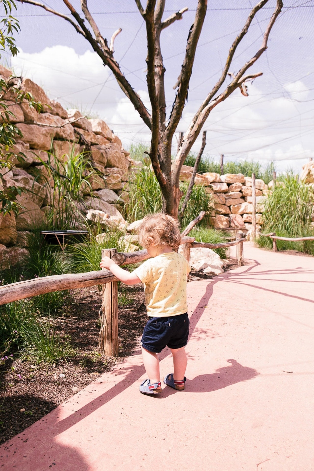 Soren dans le parc aux oiseaux à Villars les Dombes