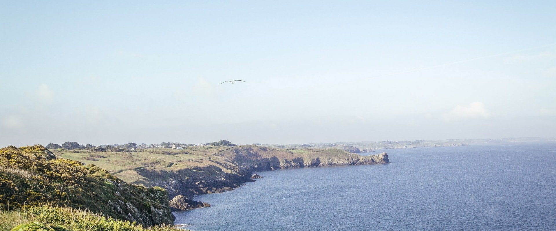 Bretagne : Randonnée Sur La Côte D’Émeraude