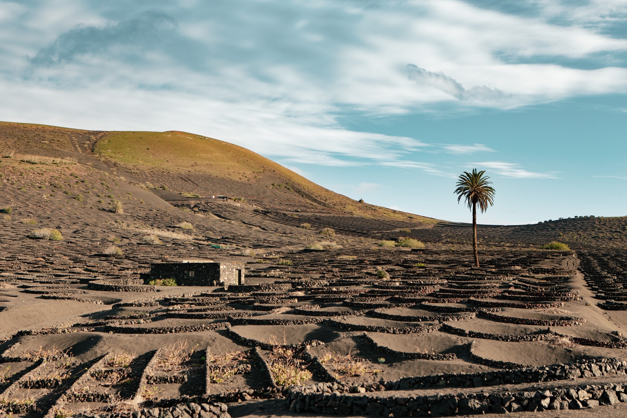 Lanzarote : la vallée viticole de La Geria et le village de Tinajo