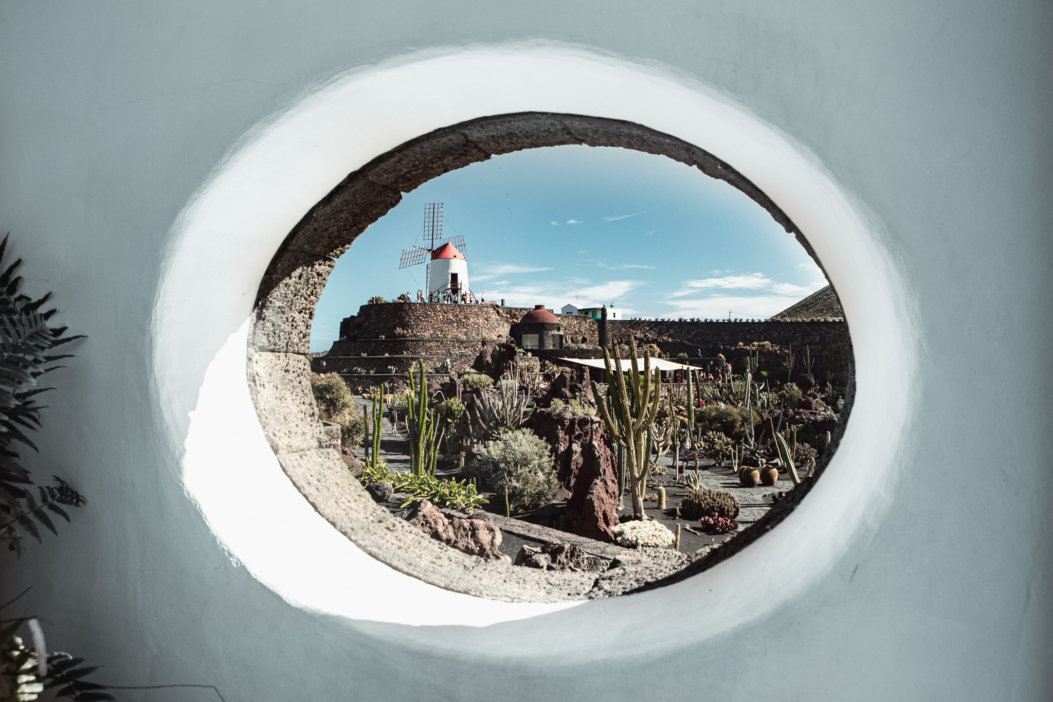 Vue du jardin de cactus créé par Cesar Manrique depuis l'intérieur du musée à Lanzarote