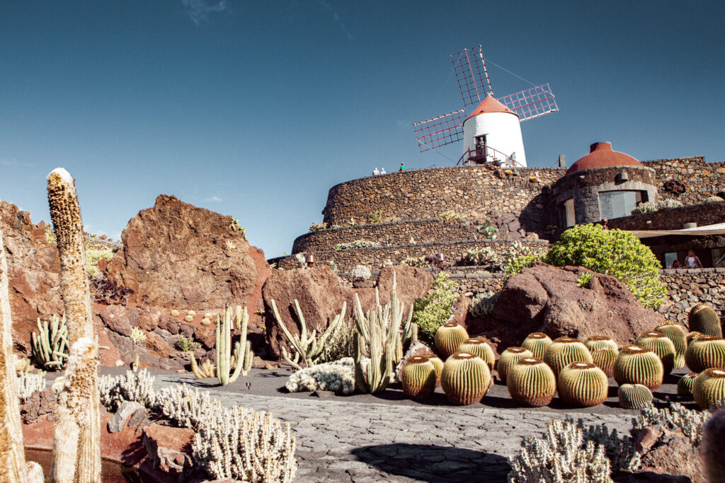 Jardin de cactus et le moulin blanc en arrière-fond, à Lanzarote